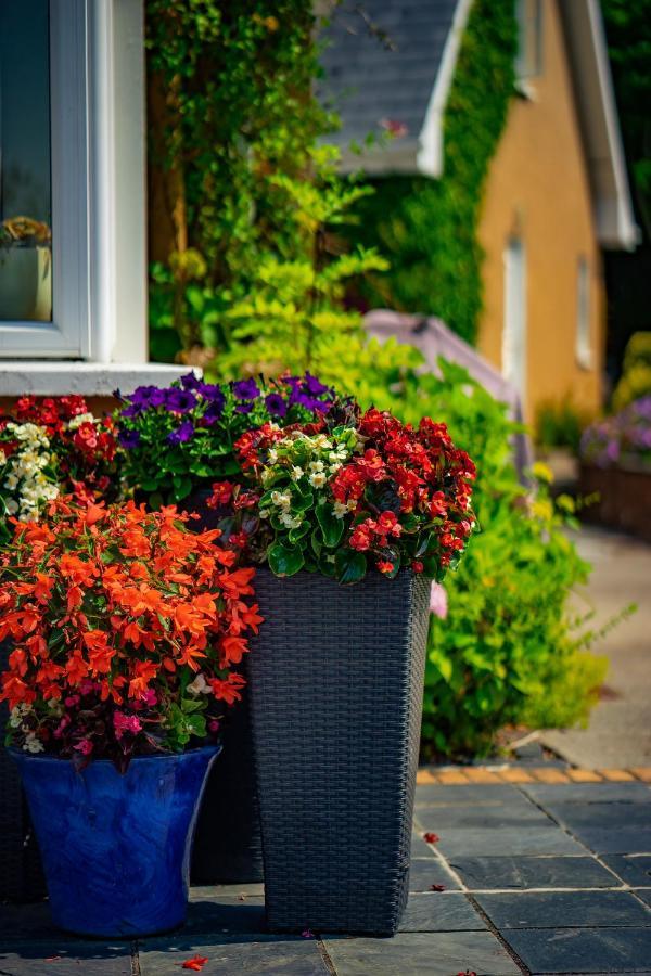 Park Lodge Accommodation Abbeyfeale Exterior foto